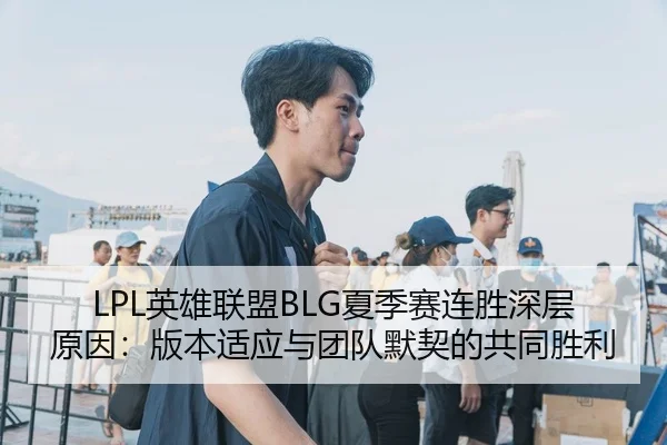 LPL英雄联盟BLG夏季赛连胜深层原因：版本适应与团队默契的共同胜利