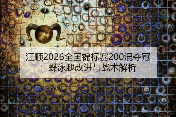 wang-shun-quan-guo-jin-biao-sai-hun-duo-guan-die-yong-tui-gai-jin-yu-zhan-shu-jie-xi-3-166.jpg