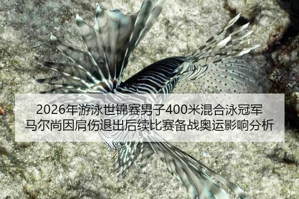 nian-you-yong-shi-jin-sai-nan-zi-mi-hun-he-yong-guan-jun-ma-er-shang-yin-jian-shang-tui-chu-hou-xu-bi-sai-bei-zhan-ao-2-964.jpg