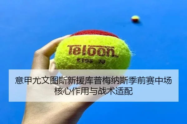 yi-jia-you-wen-tu-si-xin-yuan-ku-pu-mei-na-si-ji-qian-sai-zhong-chang-he-xin-zuo-yong-yu-zhan-shu-shi-pei-2-309.jpg